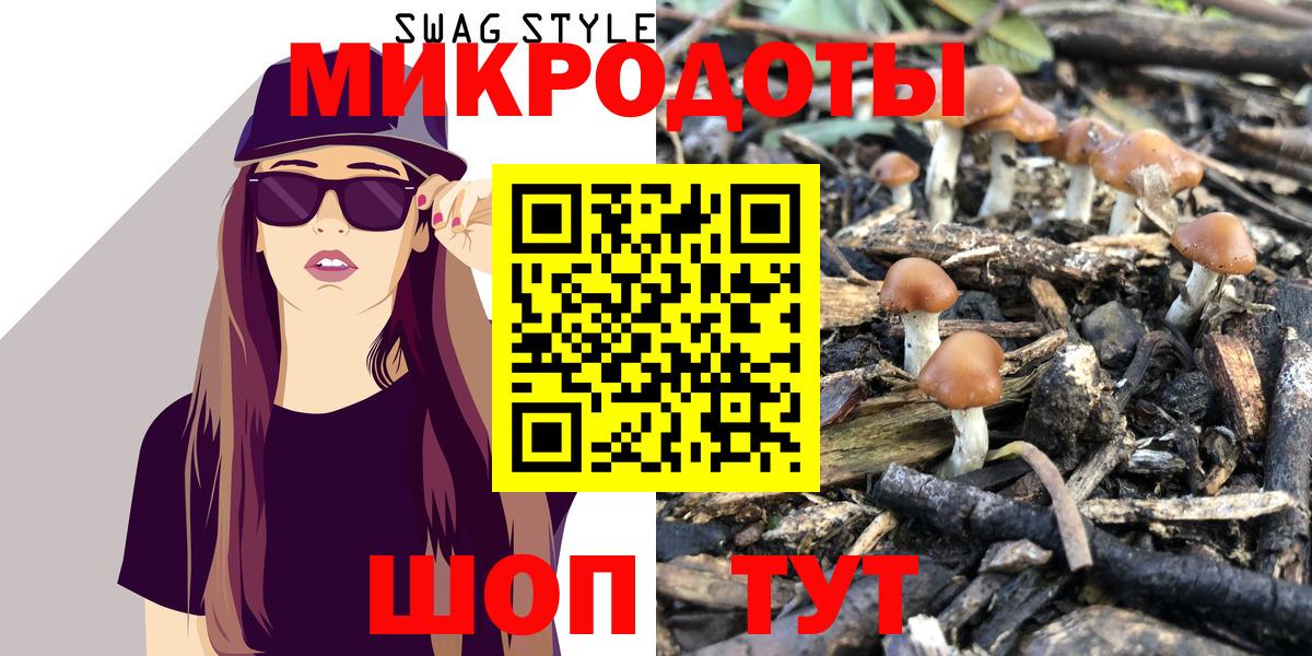 Галлюциногенные грибы Psilocybe Аргун