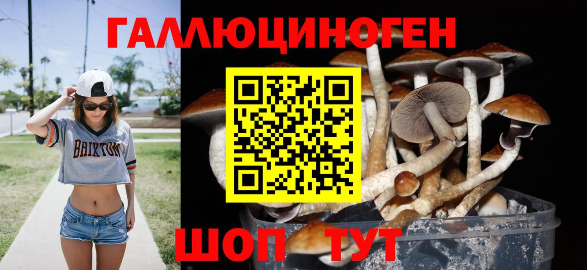 Галлюциногенные грибы мицелий  Вход с VPN  Аргун 
